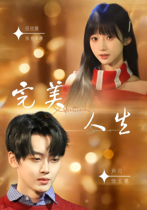 完美人生（85集）看过的人都说好