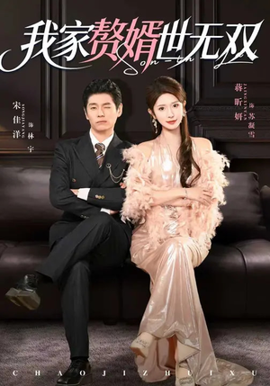 我家赘婿世无双（73集）短剧全集畅看无门槛