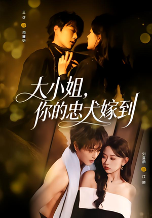 大小姐，你的忠犬嫁到（80集）短剧在哪个平台看好