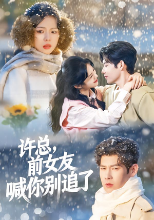 许总，前女友喊你别追了（80集）精彩短剧天天更新