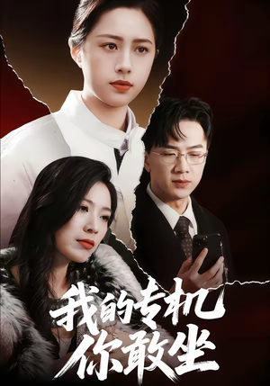 我的专机你敢坐（62集）短剧抢先看全集