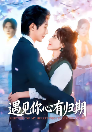 遇见你心有归期（81集）一个短剧看全集