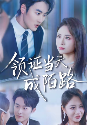 领证当天成陌路（39集）温柔追捕短剧剧情全剧终