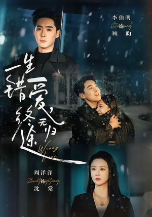 一生错爱，终无归途（74集）热播短剧精彩片段