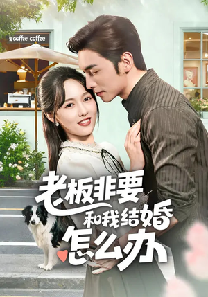 老板非要和我结婚怎么办（50集）超级好看短剧推荐
