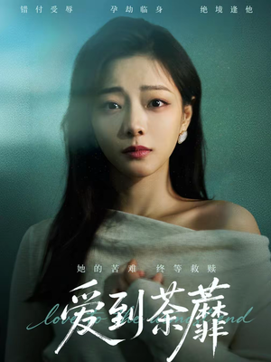 爱到荼蘼（63集）最火的网络小短剧