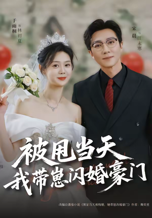 被甩当天我带崽闪婚豪门（70集）红果免费看短剧