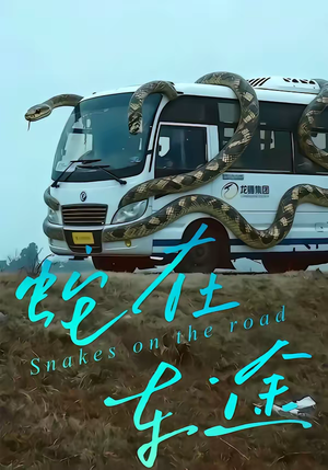 蛇在车途（34集）番茄小说短剧免费看