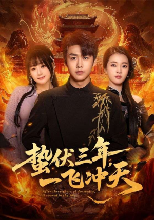 蛰伏三年，一飞冲天（60集）一毛不花看完整部短剧