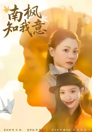 南枫知我意（41集）精彩短剧不容错过