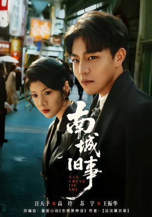 南城旧事（80集）深夜必看热门短剧推荐