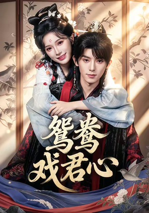 鸳鸯戏君心（60集）短剧收官全集限免看