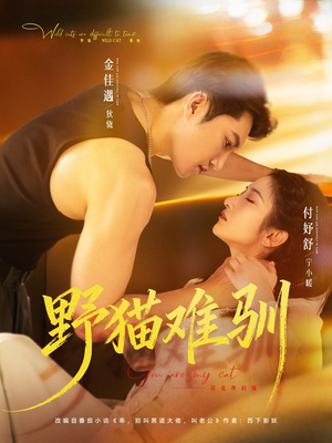 野猫难驯（73集）在线看短剧全集免费看