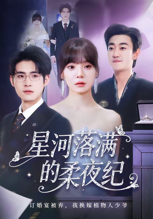 星河落满的柔夜纪（88集）免费短剧观看爽翻天