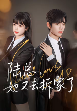 陆总，她又去拆家了（80集）这部短剧我爱了