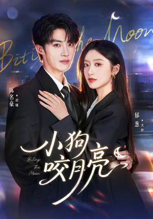 小狗咬月亮（66集）在线免费观看热门短剧