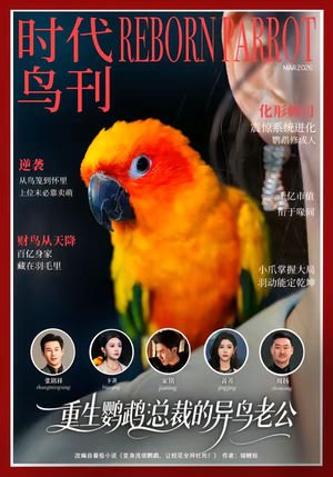 重生鹦鹉：总裁的异鸟老公（80集）超火短剧抢先看