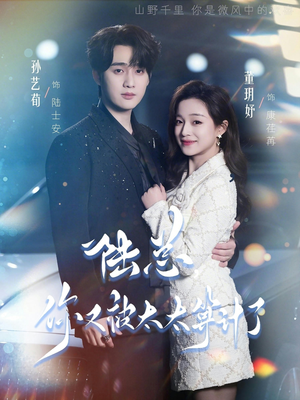 陆总，你又被太太算计了（70集）爆火短剧追不停