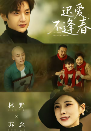 迟爱不逢春（62集）全集免费观看的短剧资源整合