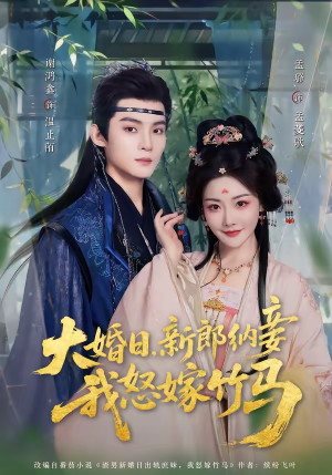 大婚日，新郎纳妾我怒嫁竹马（80集）短剧前十排行榜