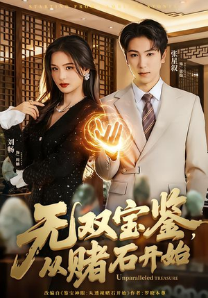 无双宝鉴，从赌石开始（70集）短剧全集免费看