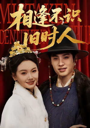 相逢不识旧时人（56集）下崽红果短剧免费看全集