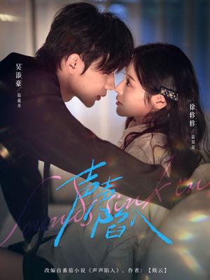 声声陷入（73集）好看又上头的红果短剧