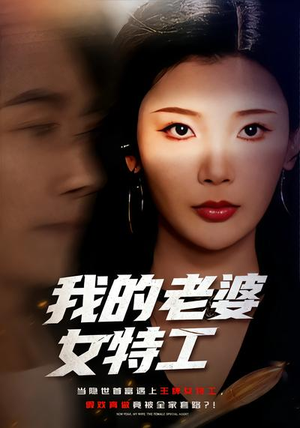 我的老婆女特工（62集）短剧更新抢先看