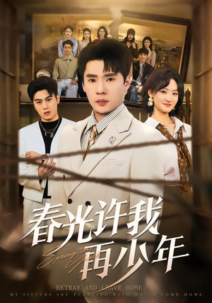 春光许我再少年（79集）热播短剧排行榜