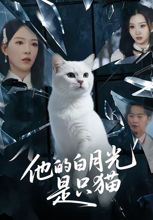 他的白月光是只猫（69集）短剧全集抢先看