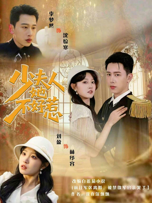 少夫人她不好惹（69集）热门短剧全集观看