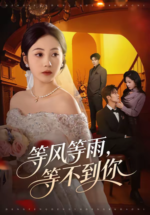 等风等雨，等不到你（65集）短剧大结局完整版免费看