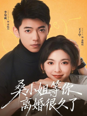 桑小姐，等你离婚很久了（70集）免费观看全集的短剧网站精选