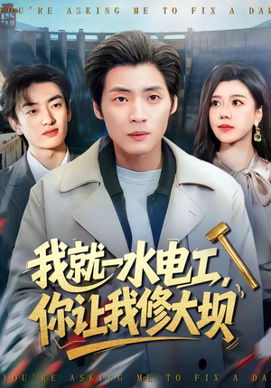 我就一水电工，你让我修大坝（65集）一毛不花追完短剧