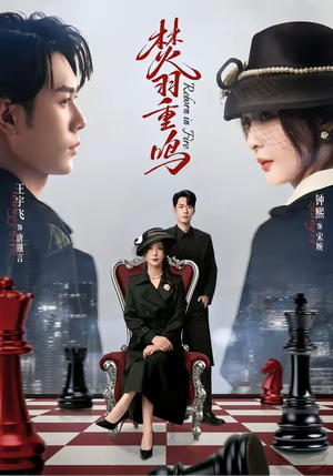 焚羽重鸣（60集）热门短剧看不停