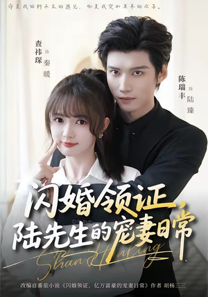 闪婚领证，陆先生的宠妻日常（86集）短剧收官全集限免看
