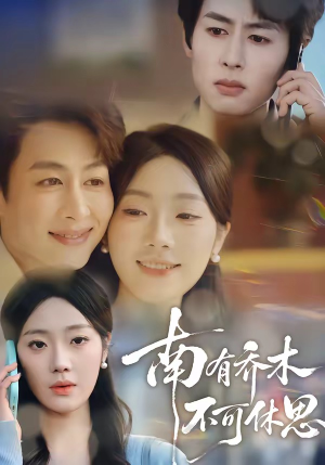 南有乔木，不可休思（68集）热门短剧推荐分享