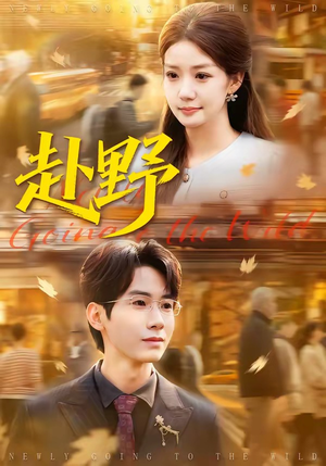 赴野（40集）每晚准时更新分享