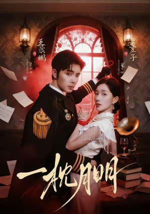 一枕月明（65集）高清画质短剧免费看