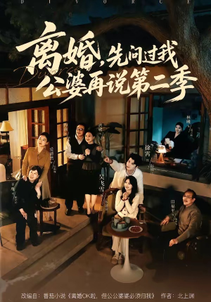 离婚，先问过我公婆再说第二季（90集）一口气追完所有短剧