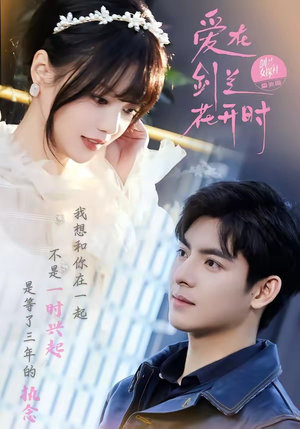 爱在剑兰花开时（56集）都市生活短剧免费在线观看