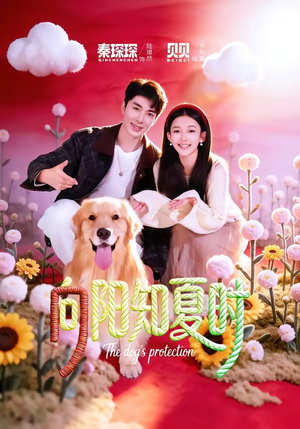 向阳知夏时（80集）在红果短剧app免费看