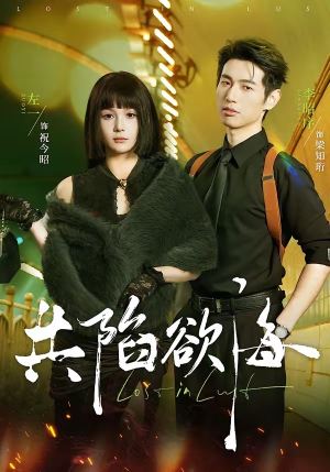 共陷欲海（66集）火爆短剧来袭好看又上头的短