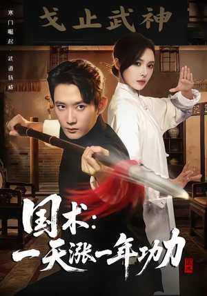 国术，一天涨一年功力（66集）免费短剧全集任你观看