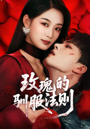 玫瑰的驯服法则（65集）超火热门短剧抢先看