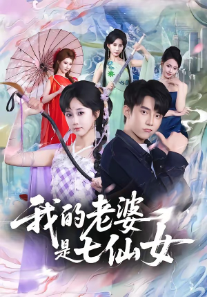 我的老婆是七仙女（57集）韩国短剧精彩片段