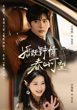 婚既钟情，春山可望（91集）短剧完结篇全集连播