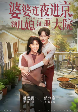 婆婆连夜进京，领儿媳征服大院（78集）在哪个平台能看短剧