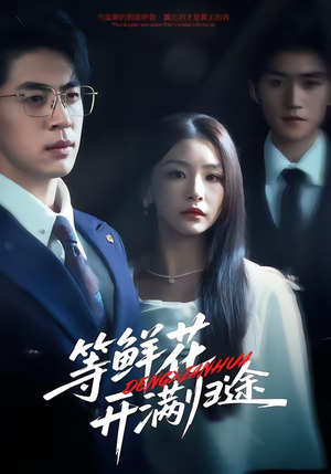 等鲜花开满归途（61集）最新短剧火爆来袭