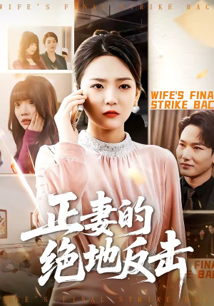 正妻的绝地反击（76集）看过的人都说好